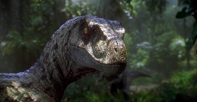 raptor.jpg